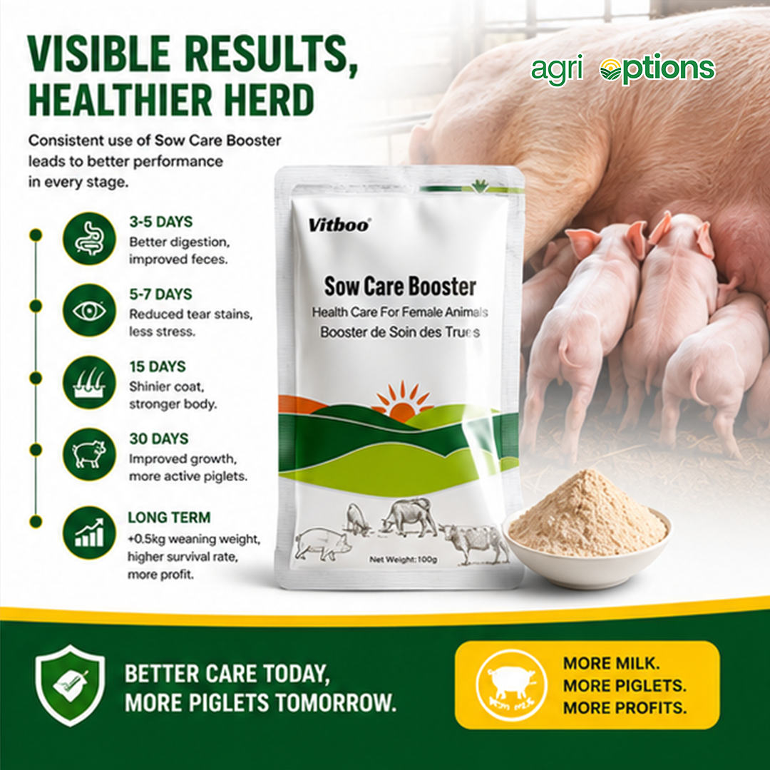 Vitboo Sow Care Booster_thumbnail_7