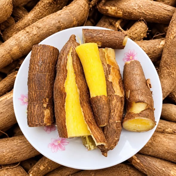 Khoai Mì Thái Ruột Vàng