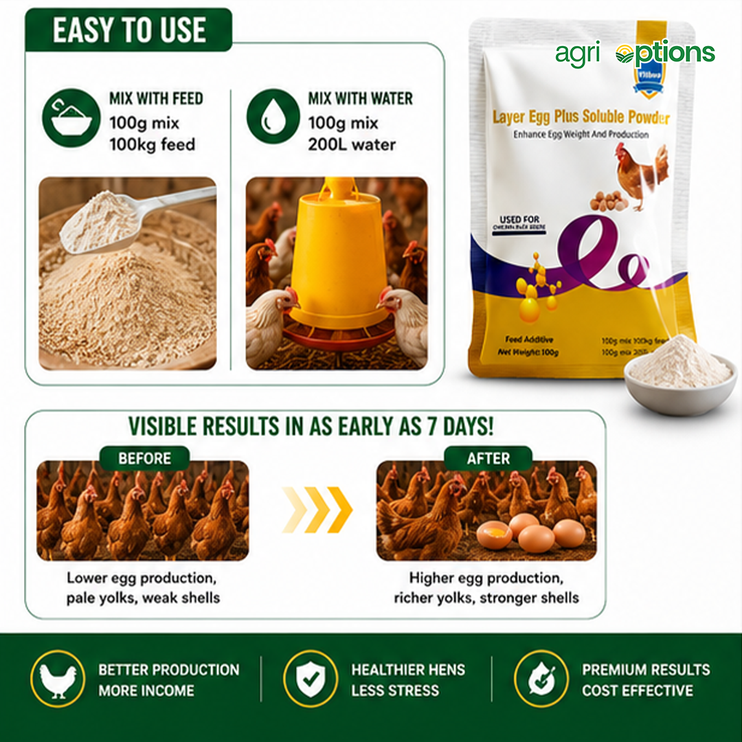Layer Egg Plus Soluble Powder_thumbnail_2