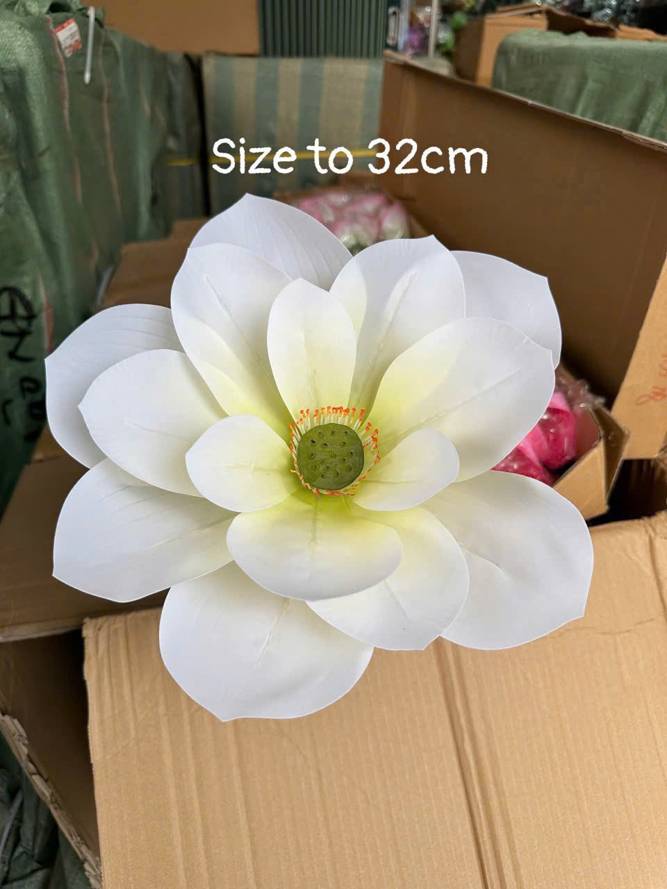 SEN CAO SU 3D SIZE TO 64K