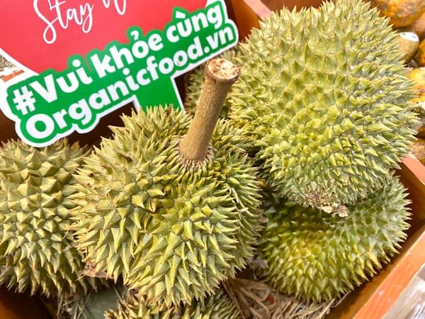 Sầu Riêng Chuồng Bò 1kg_thumbnail_1