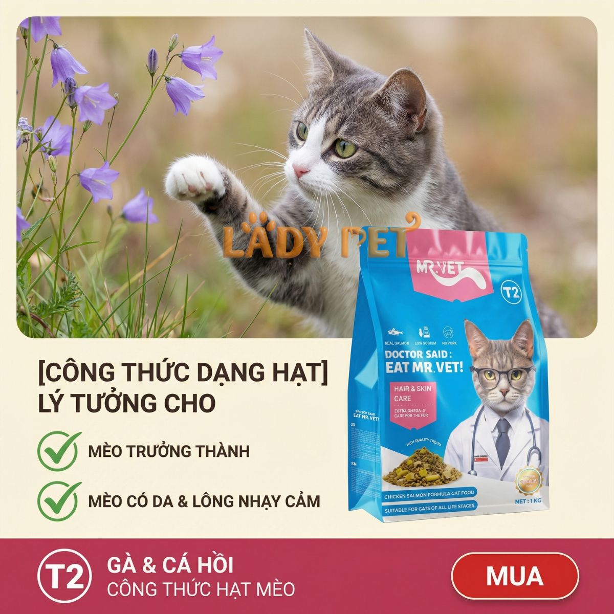 Hạt cho mèo MR VET T2 cho mèo (1KG)_thumbnail_5