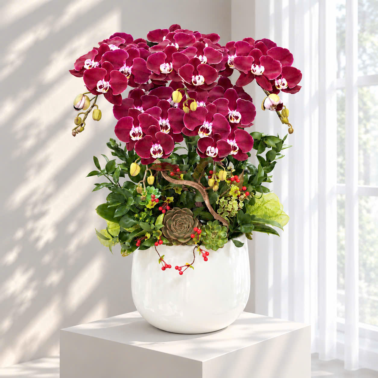 🌺 Chậu Lan Hồ Điệp Tươi 5 Cành Đỏ Ngọc Trai – Biểu Tượng Của Quyền Quý Và Thành Công