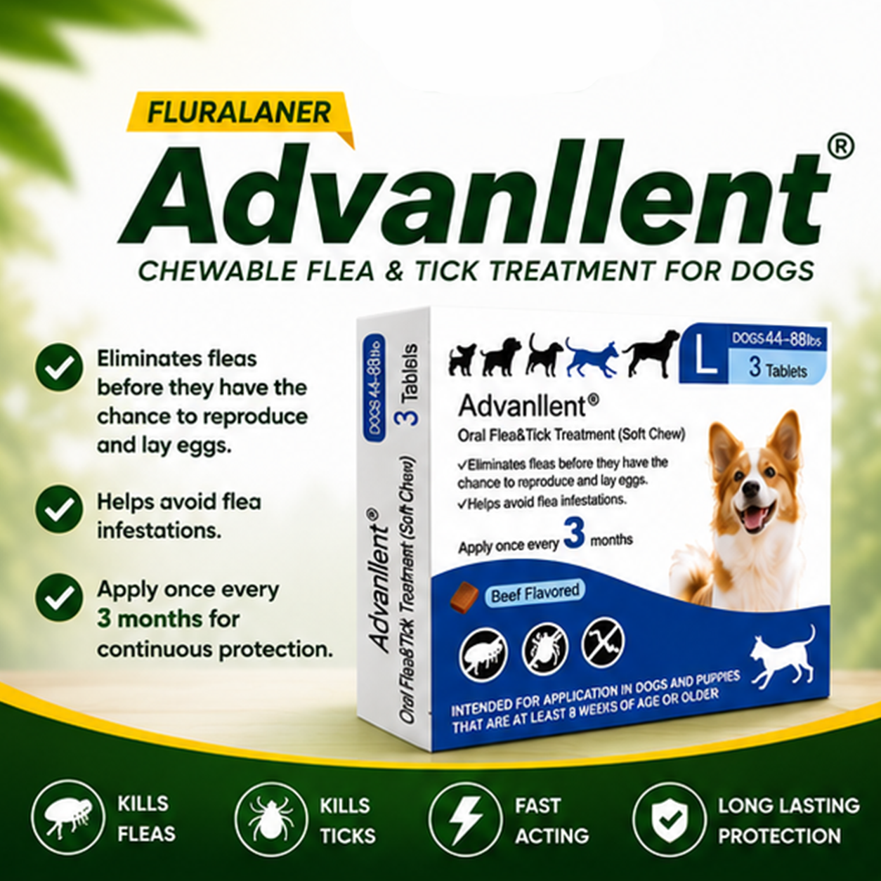 Advanllent ( Fluralaner )_thumbnail_10