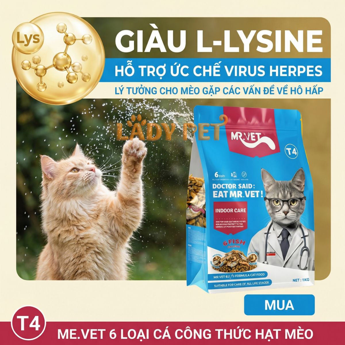 Hạt cho mèo MR VET T4 cho mèo (1KG)_thumbnail_6