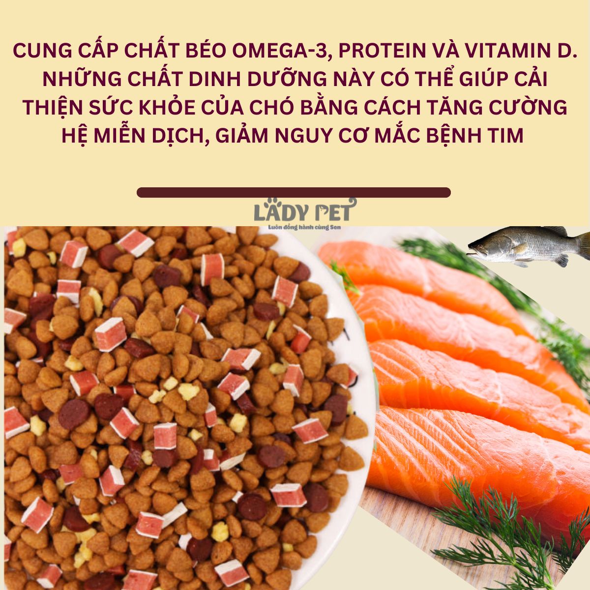 Hạt captain cho cún kén ăn_thumbnail_8