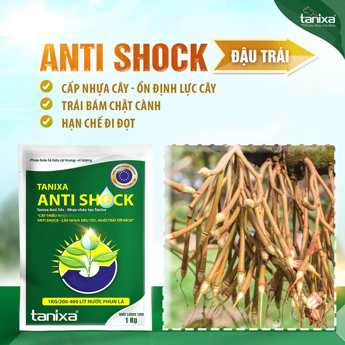 Tanixa Anti Shock túi 1kg New_thumbnail_5