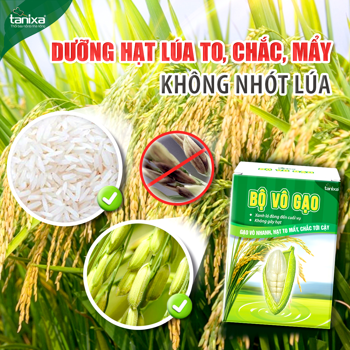 Bộ vô gạo Tanixa_thumbnail_4