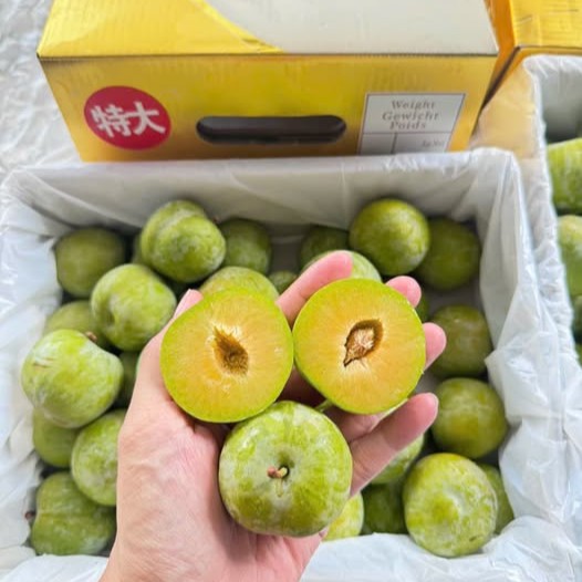 Mận Mật Ong