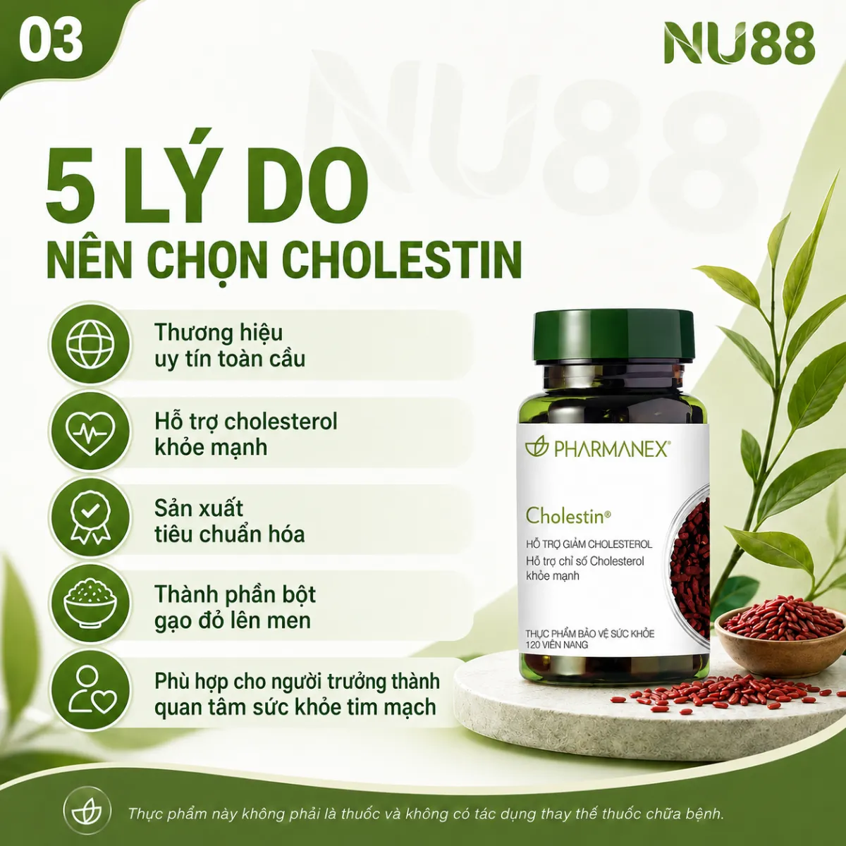 Thực phẩm bảo vệ sức khỏe Cholestin_thumbnail_8