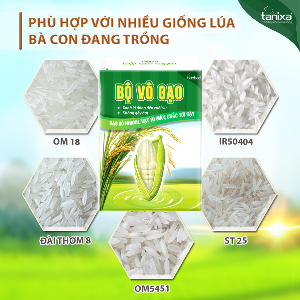 Bộ vô gạo Tanixa_thumbnail_6