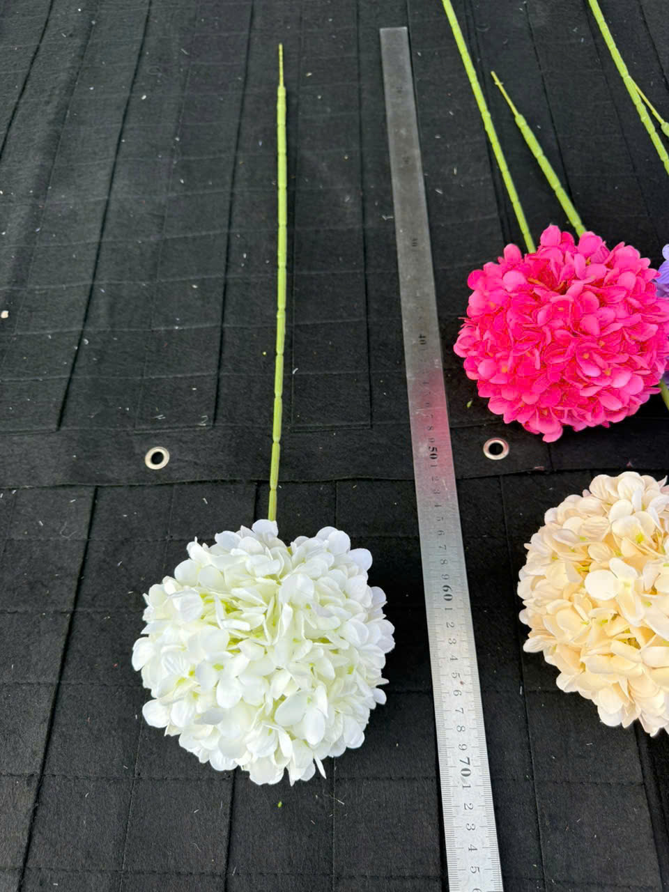 Hồng Tú cầu giá 19k ak