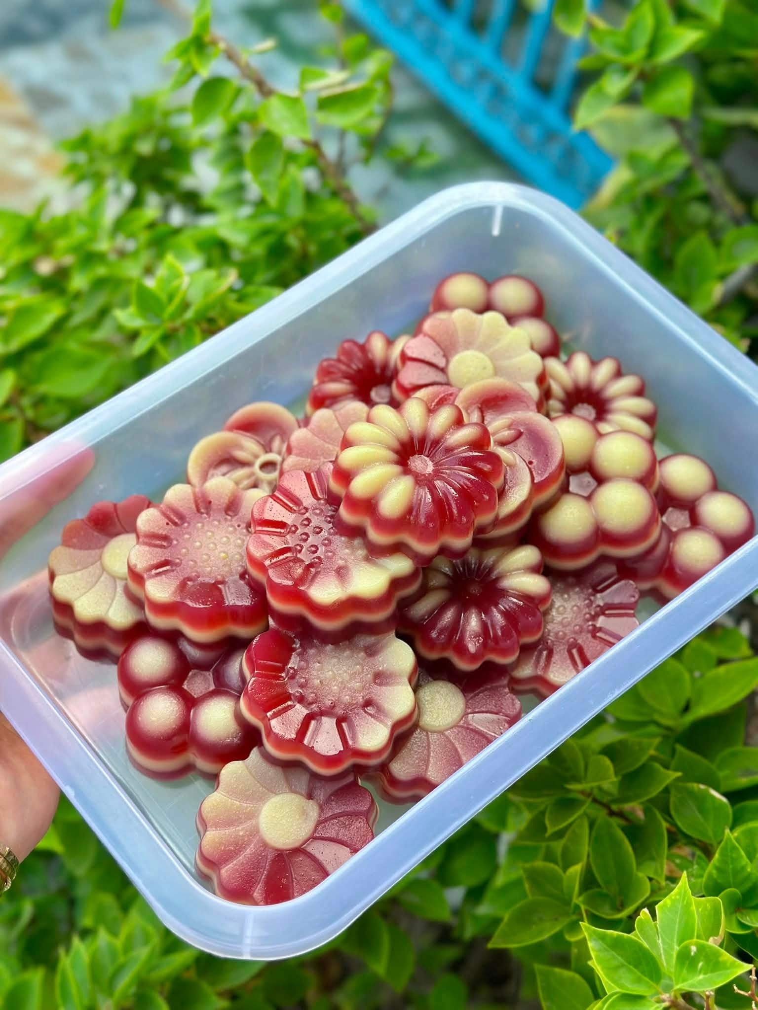 Da lợn đậu xanh lá cẩm hihi_1