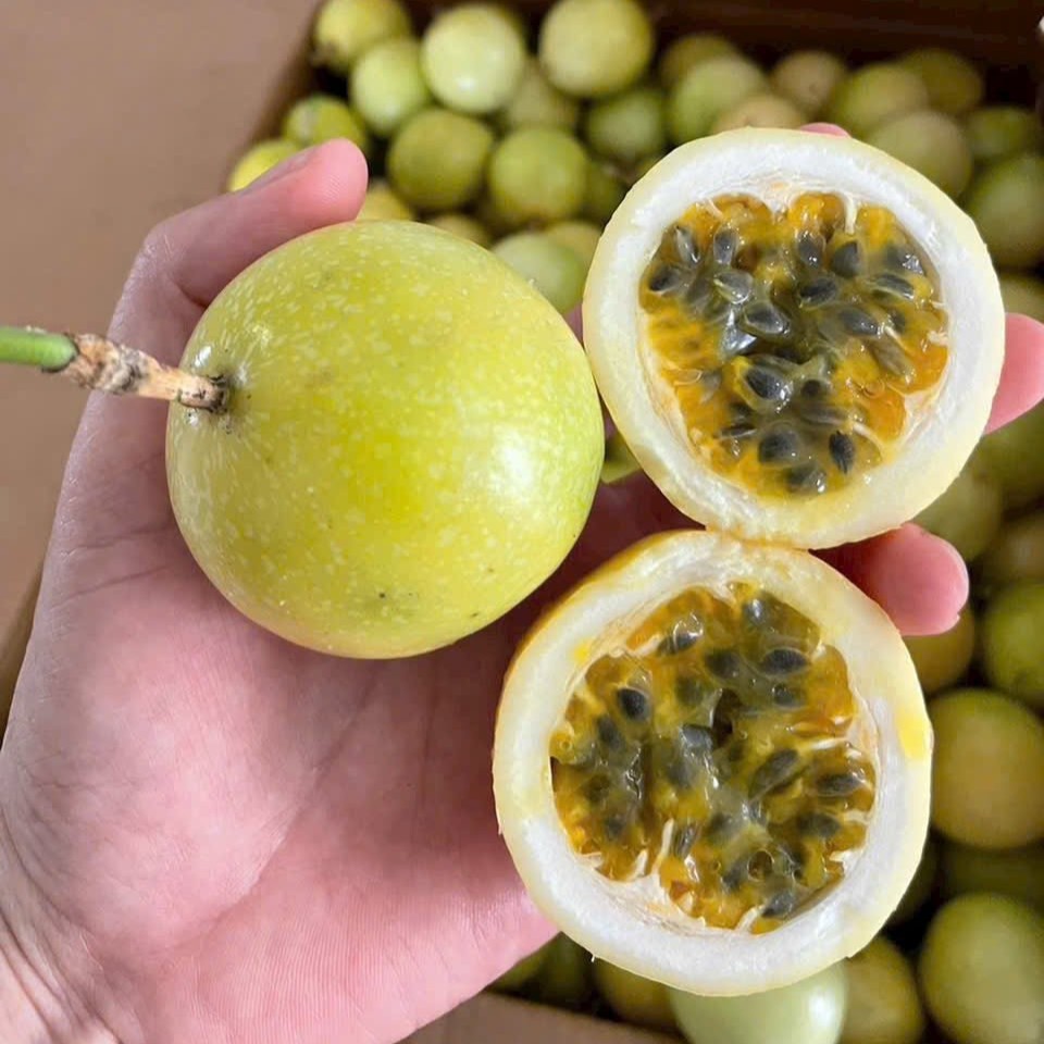 Chanh Dây Vàng Mật Ong