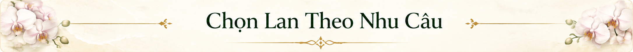Chọn Lan theo nhu cầu