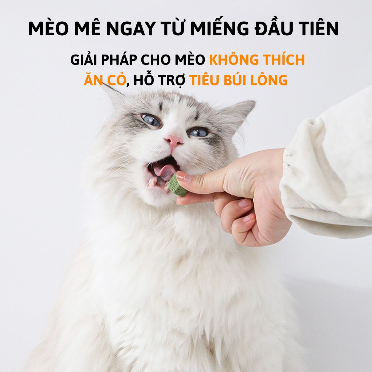 Viên Cỏ Mèo Hỗ Trợ Tiêu Búi Lông Ở Mèo_thumbnail_3