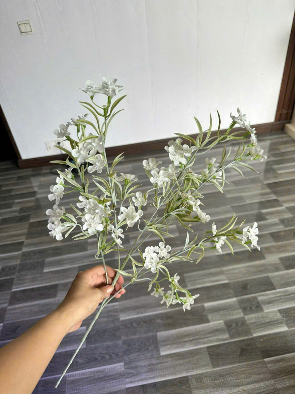 THẠCH THẢO 24K