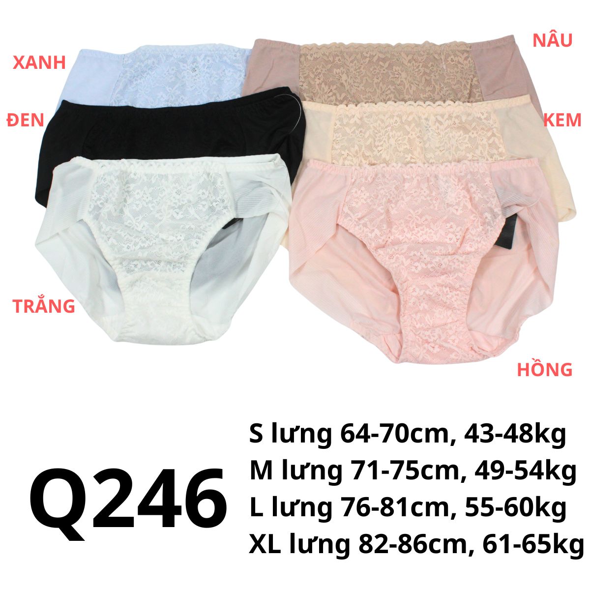 Q246 - Quần chip lưới ren