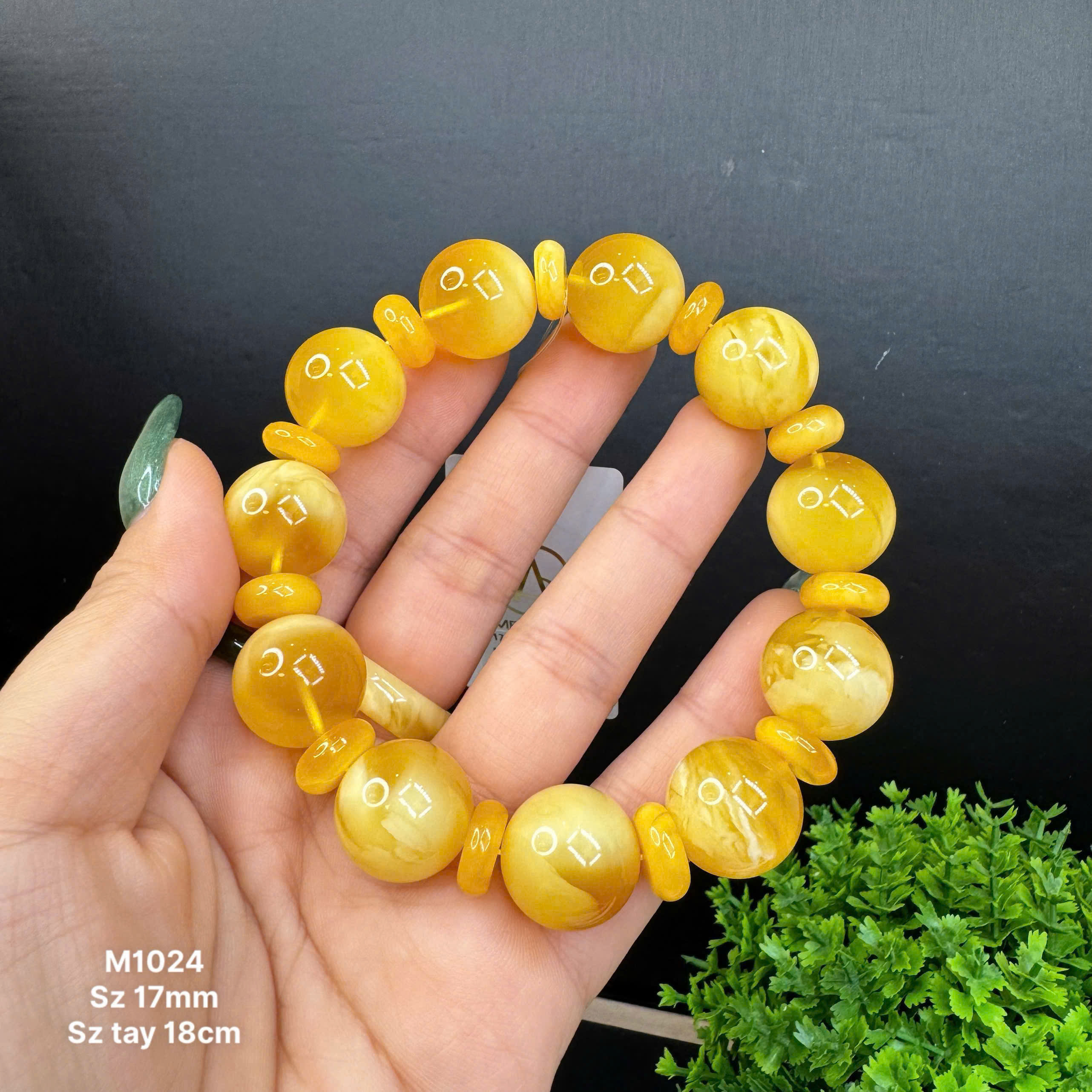 Lắc Tay Hoàng Gia Mix - M1024