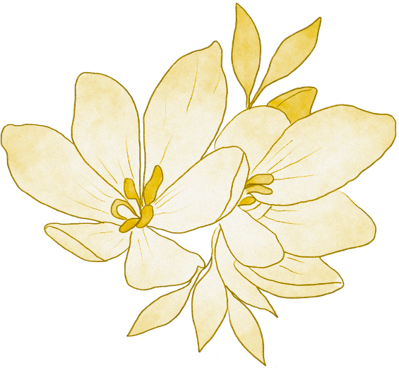 Vani