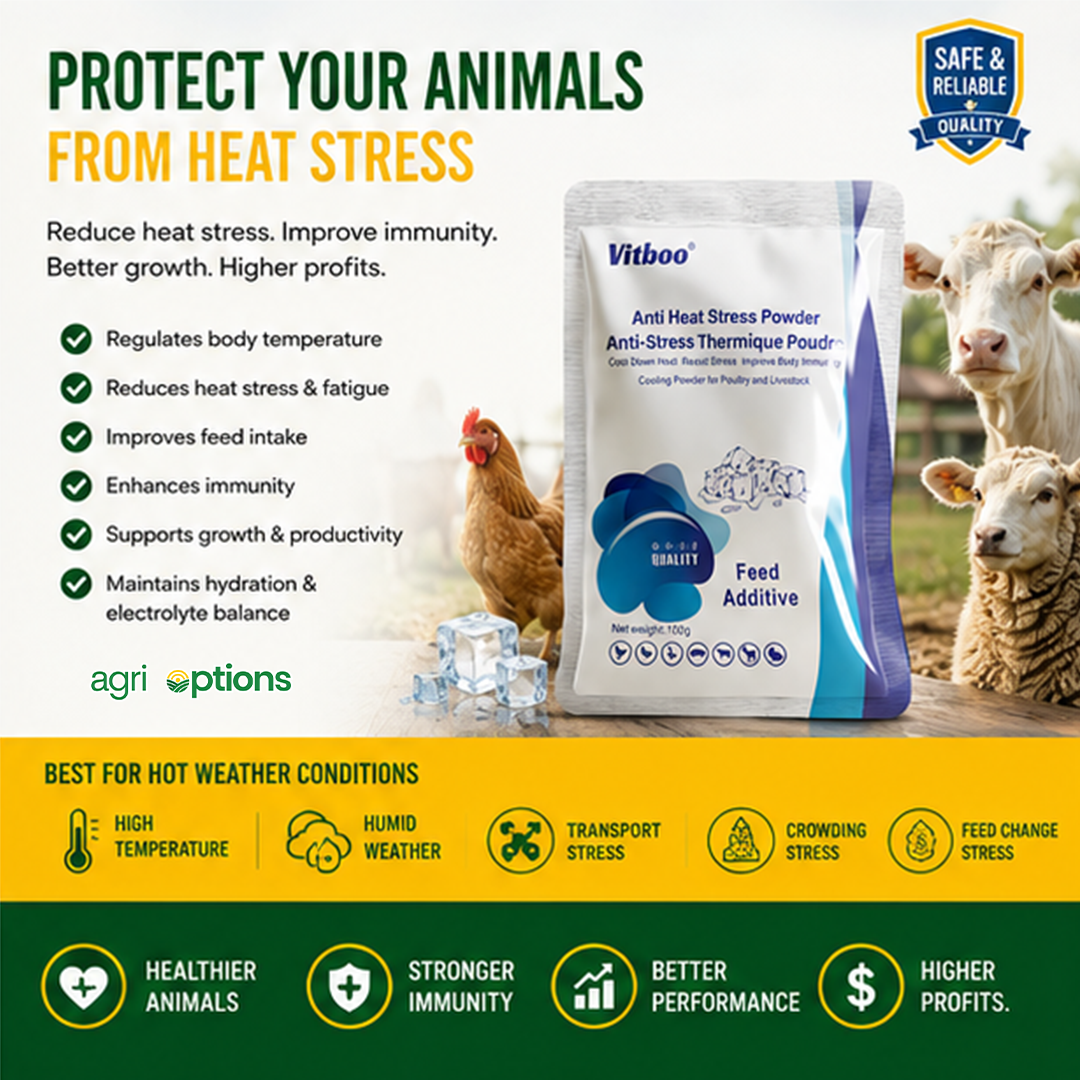 Vitboo Anti Heat Stress Powder_thumbnail_2