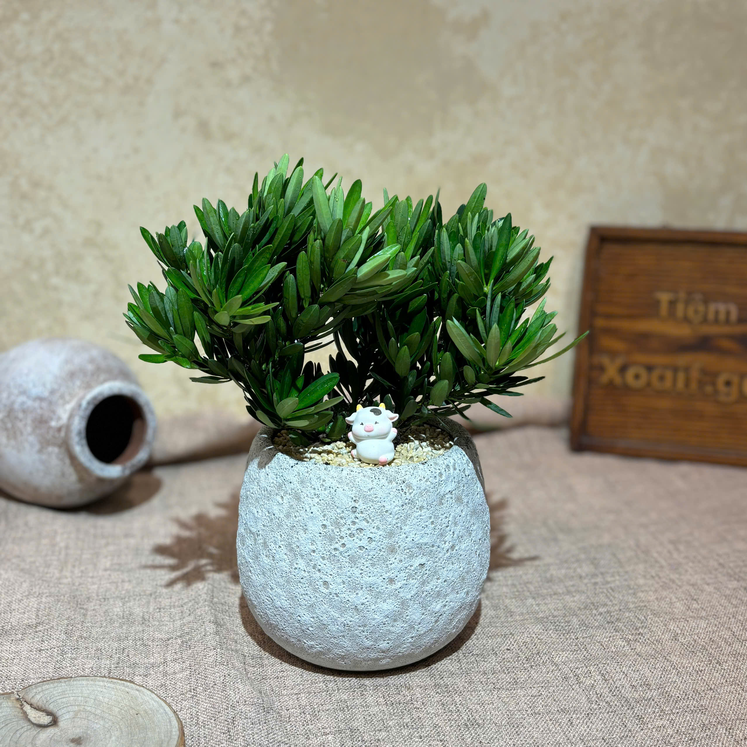 TÙNG LA HÁN CHẬU SỨ