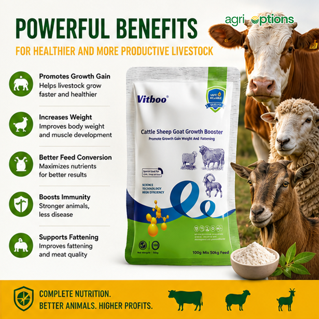 Cattle Sheep Goat Growth Booster_thumbnail_3