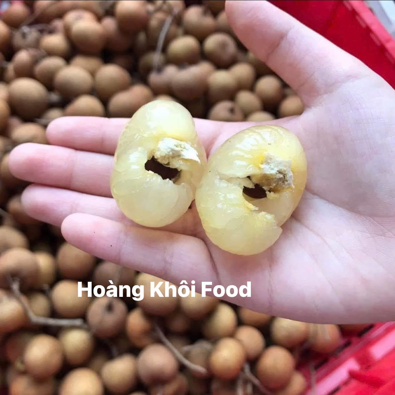 Nhãn Bắp Cải_thumbnail_6