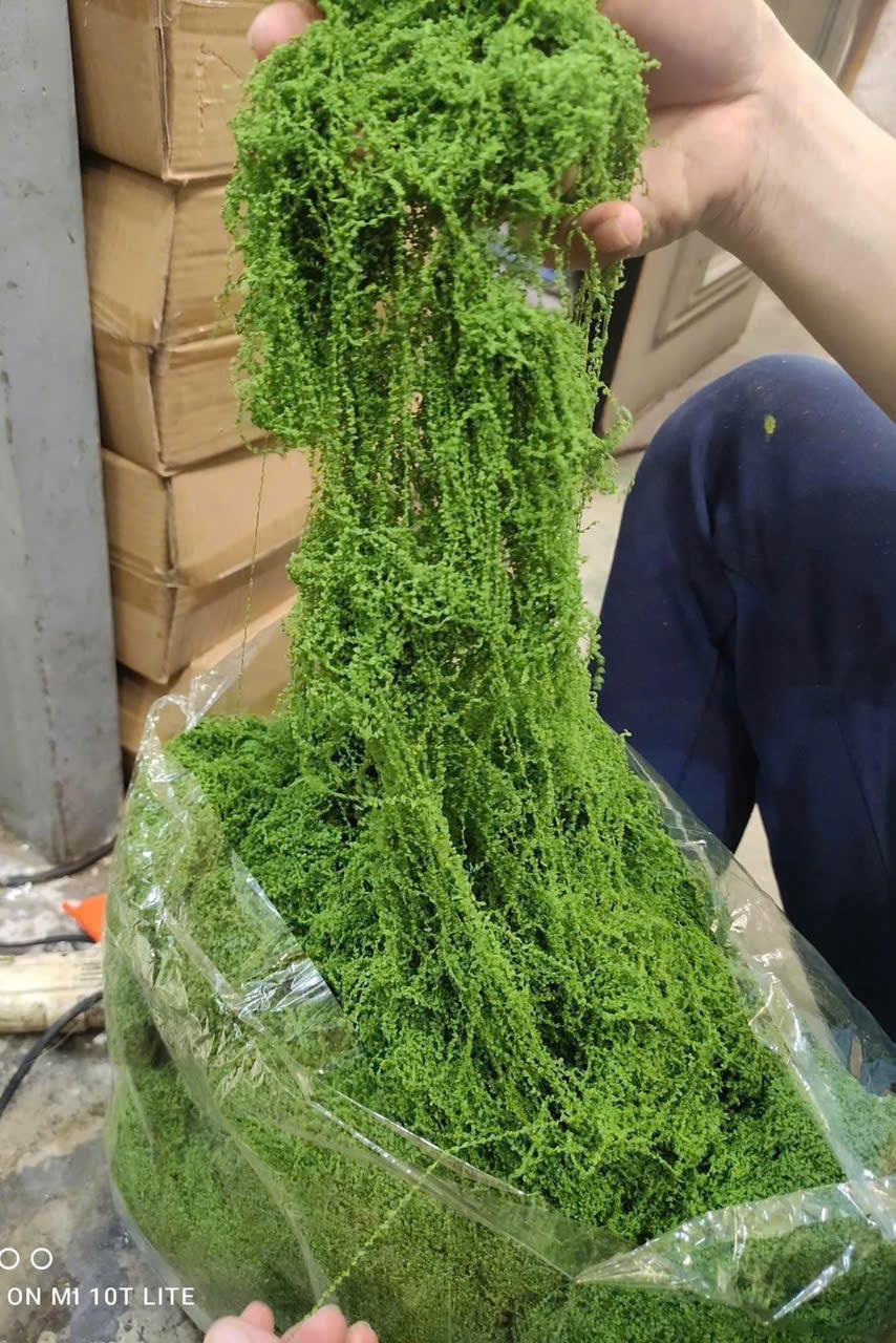SỢI RÊU 210K/KG_thumbnail_8