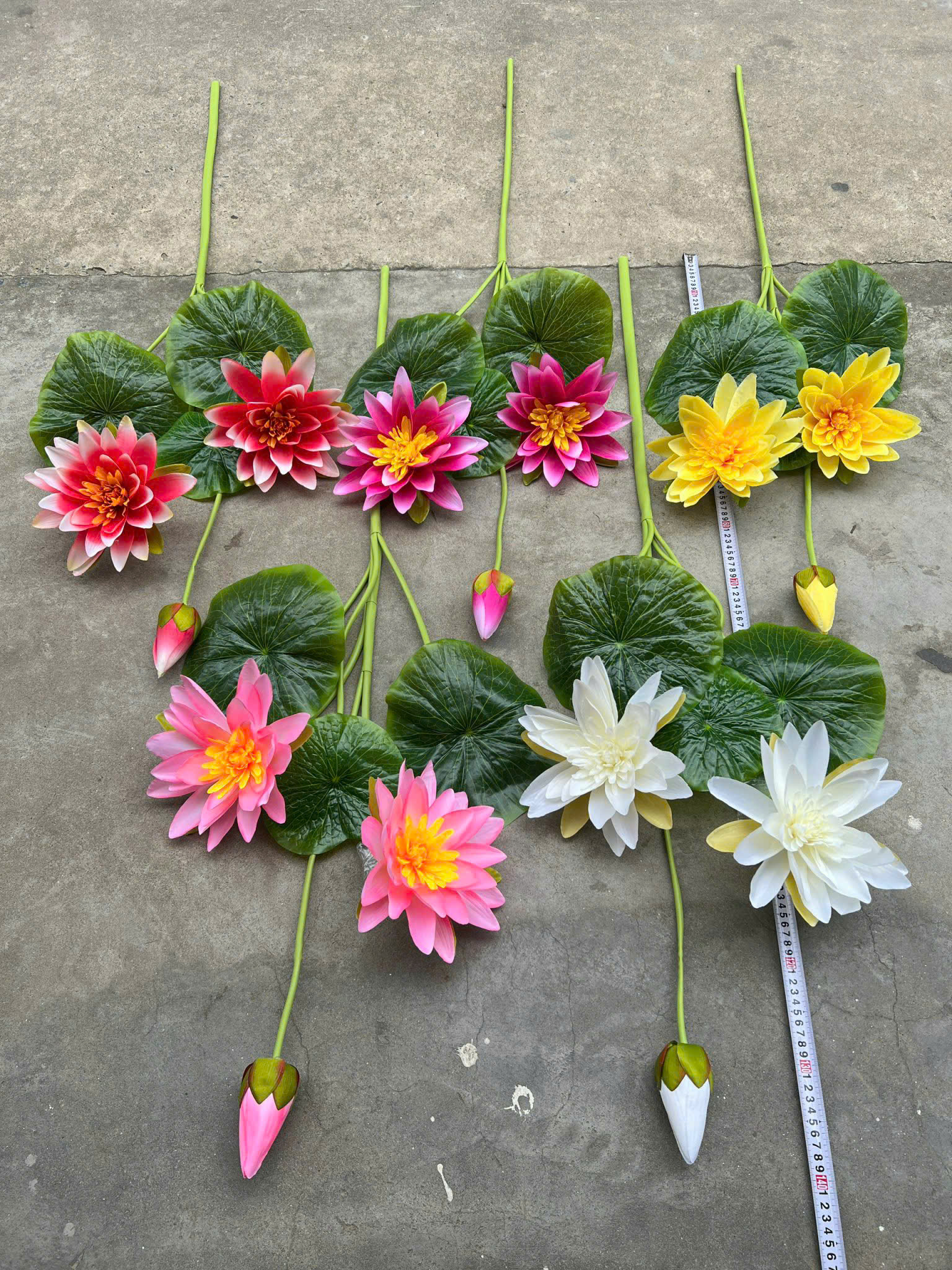 Sen súng cành cao đủ màu giá 65k