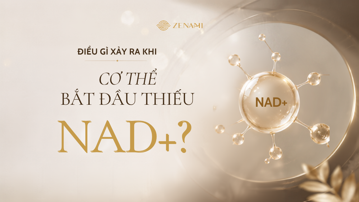 Điều gì xảy ra khi cơ thể bắt đầu thiếu NAD+?