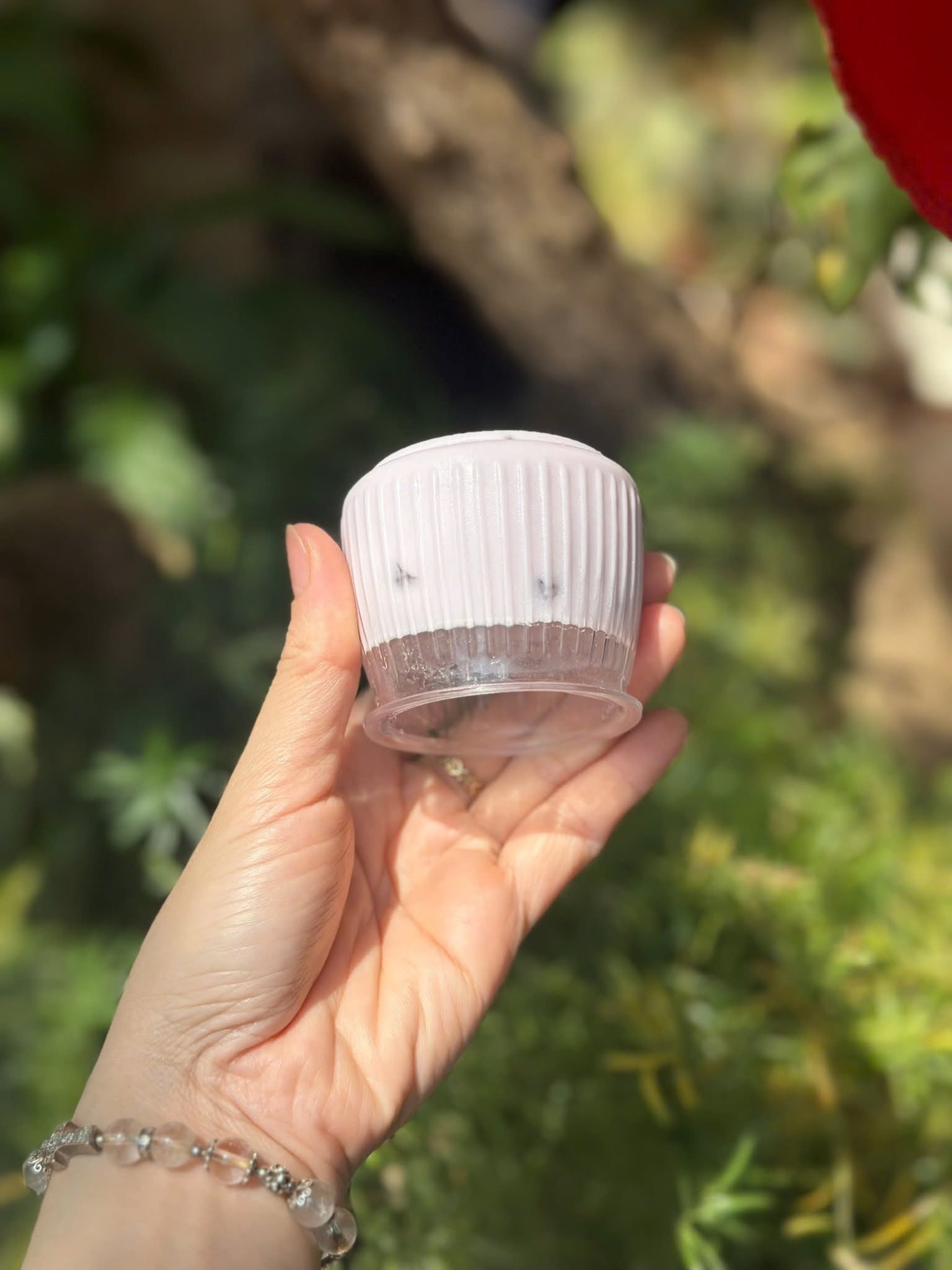 sữa chua khoai môn_2