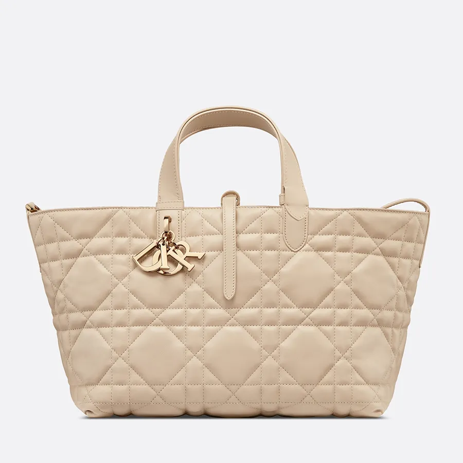 Dior Medium Toujours Bag_thumbnail_5