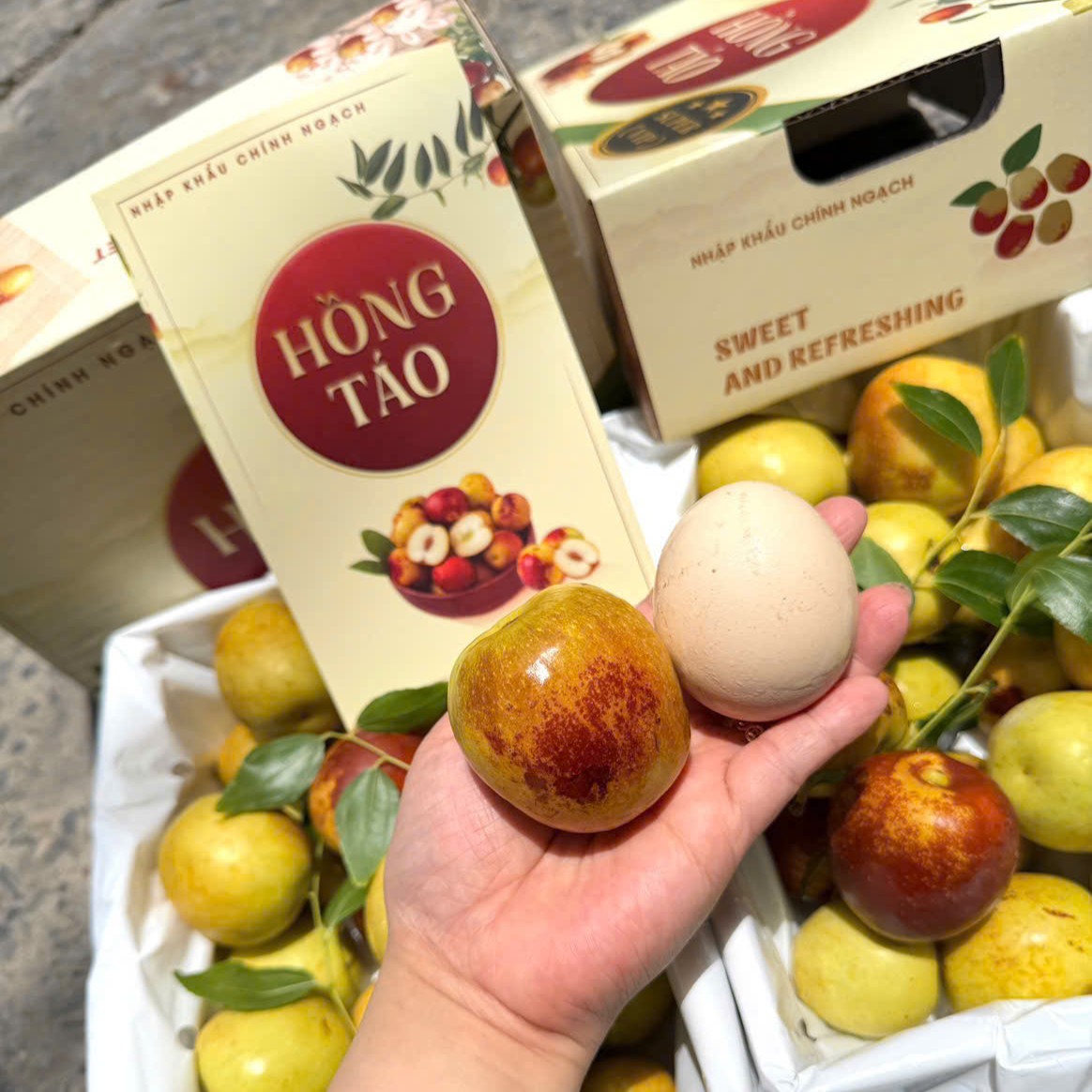 Hồng Táo