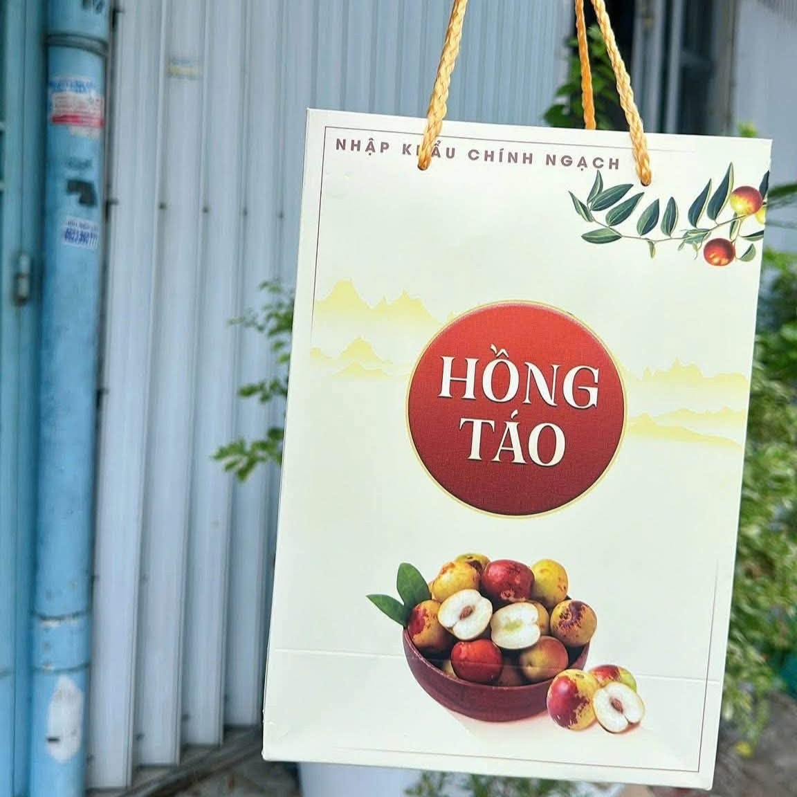 Hồng Táo_thumbnail_3