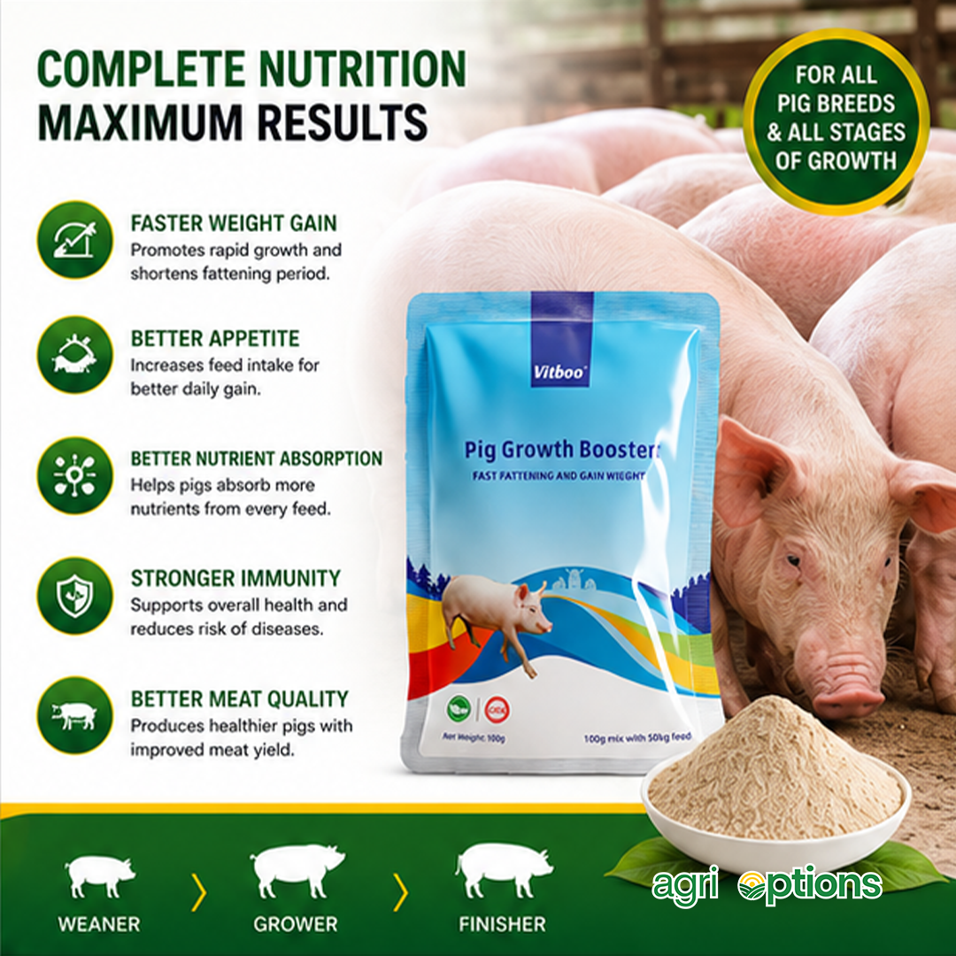 Vitboo Pig Growth Booster_thumbnail_5