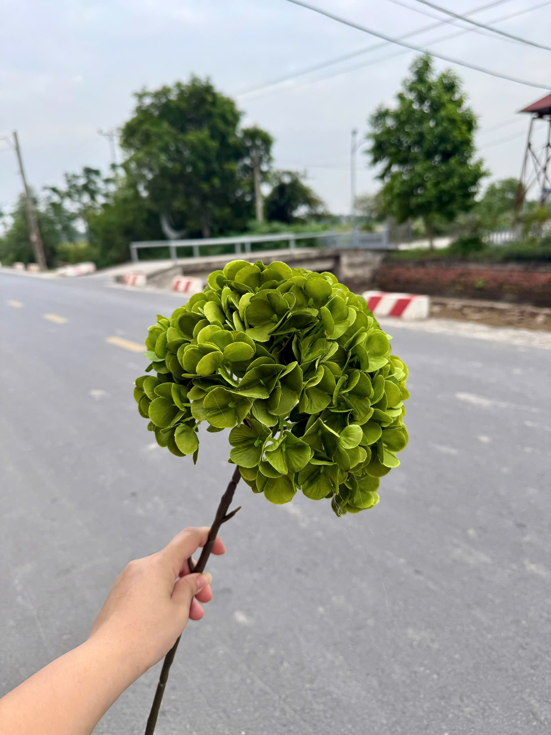 TÚ CẦU LIỀN CỔ 19K_thumbnail_4