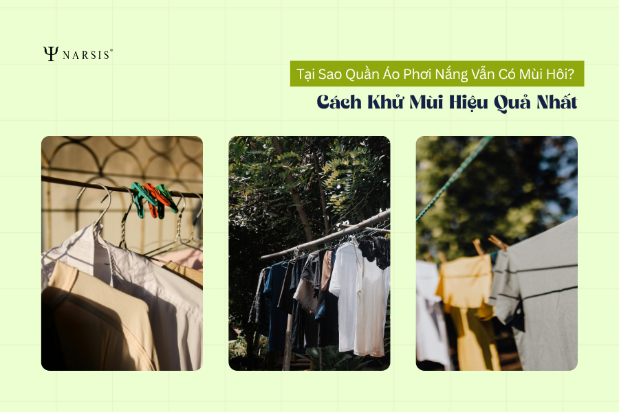 Tại Sao Quần Áo Phơi Nắng Vẫn Có Mùi Hôi? Cách Khử Mùi Hiệu Quả