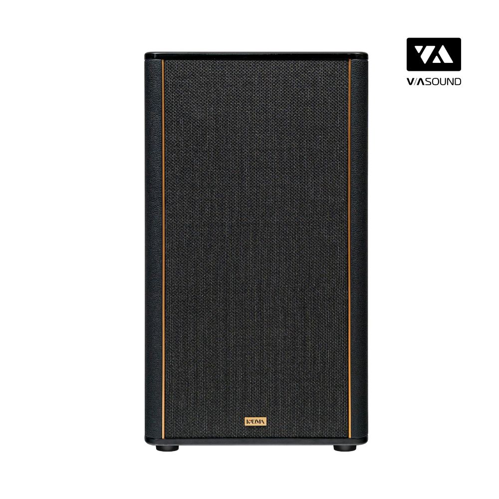 Loa Hifi Karaoke Di Động KADMA KF650_thumbnail_7