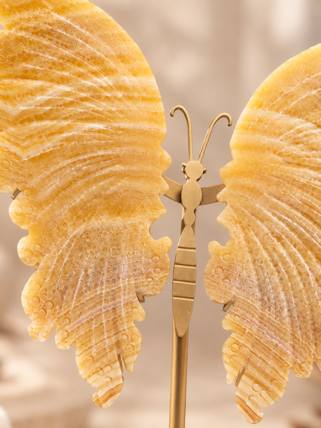 Cánh Bướm Ngọc Hoàng Long - Honey Calcite
