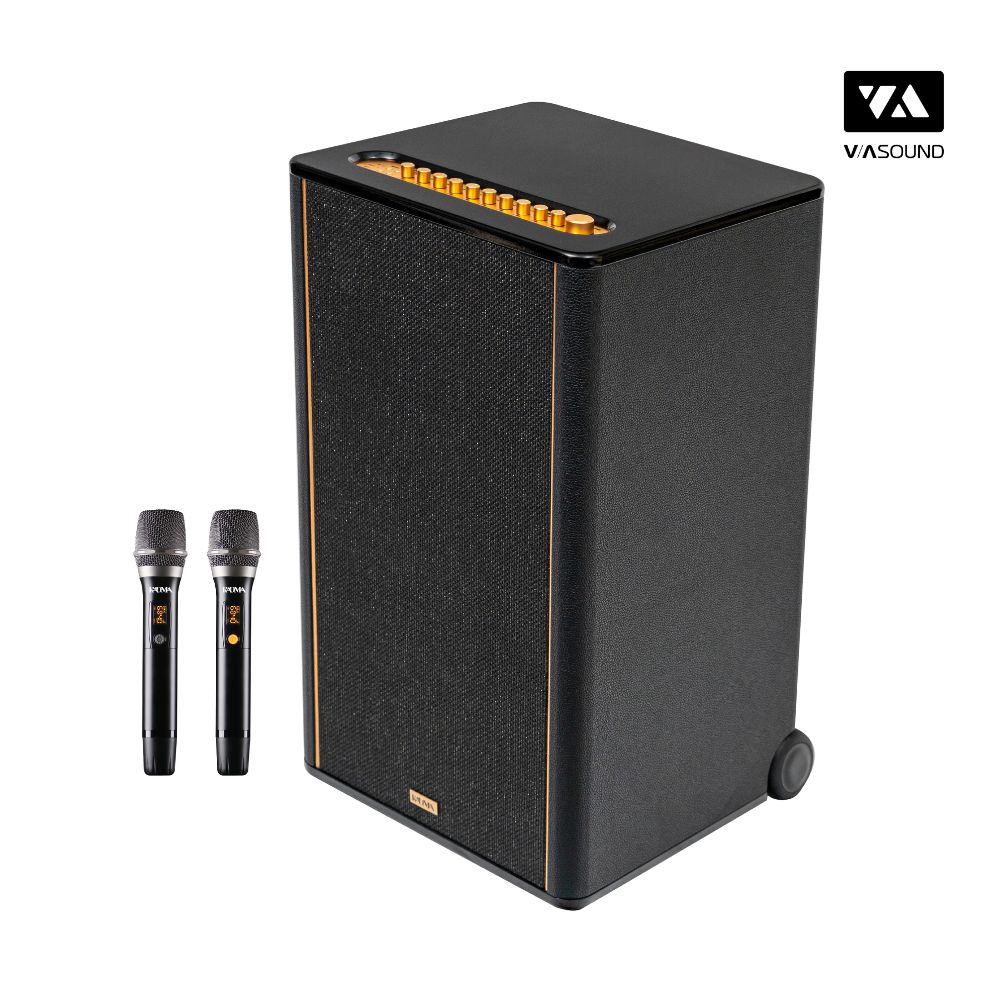 Loa Hifi Karaoke Di Động KADMA KF950