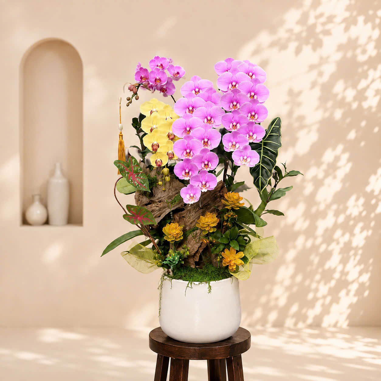 🌸Chậu 4 Cây Lan Hồ Điệp Nghệ Thuật – Sự Hòa Quyện Sắc Màu Mang Tài Lộc Và Bình An