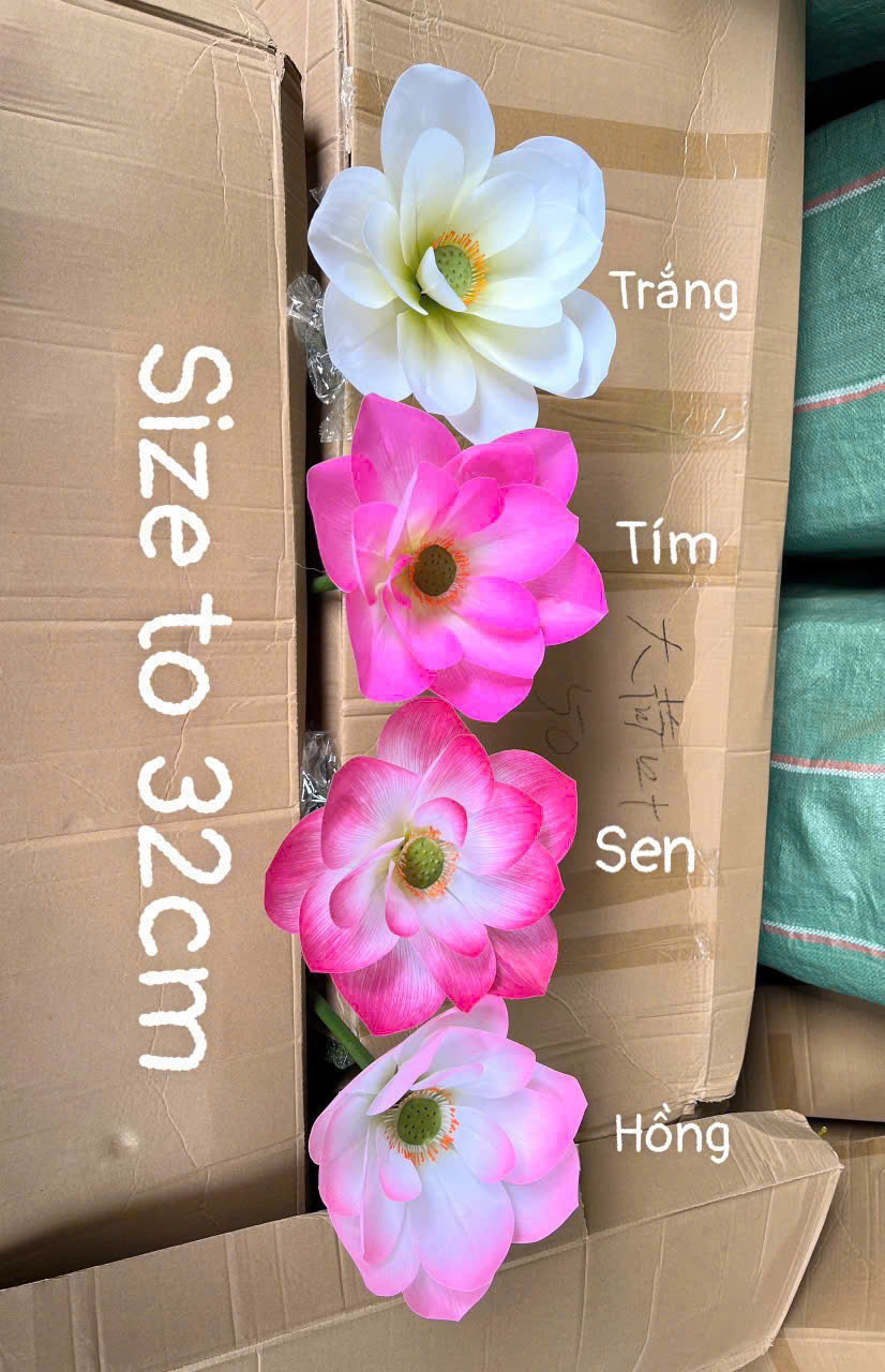 SEN CAO SU 3D SIZE TO 64K_thumbnail_6