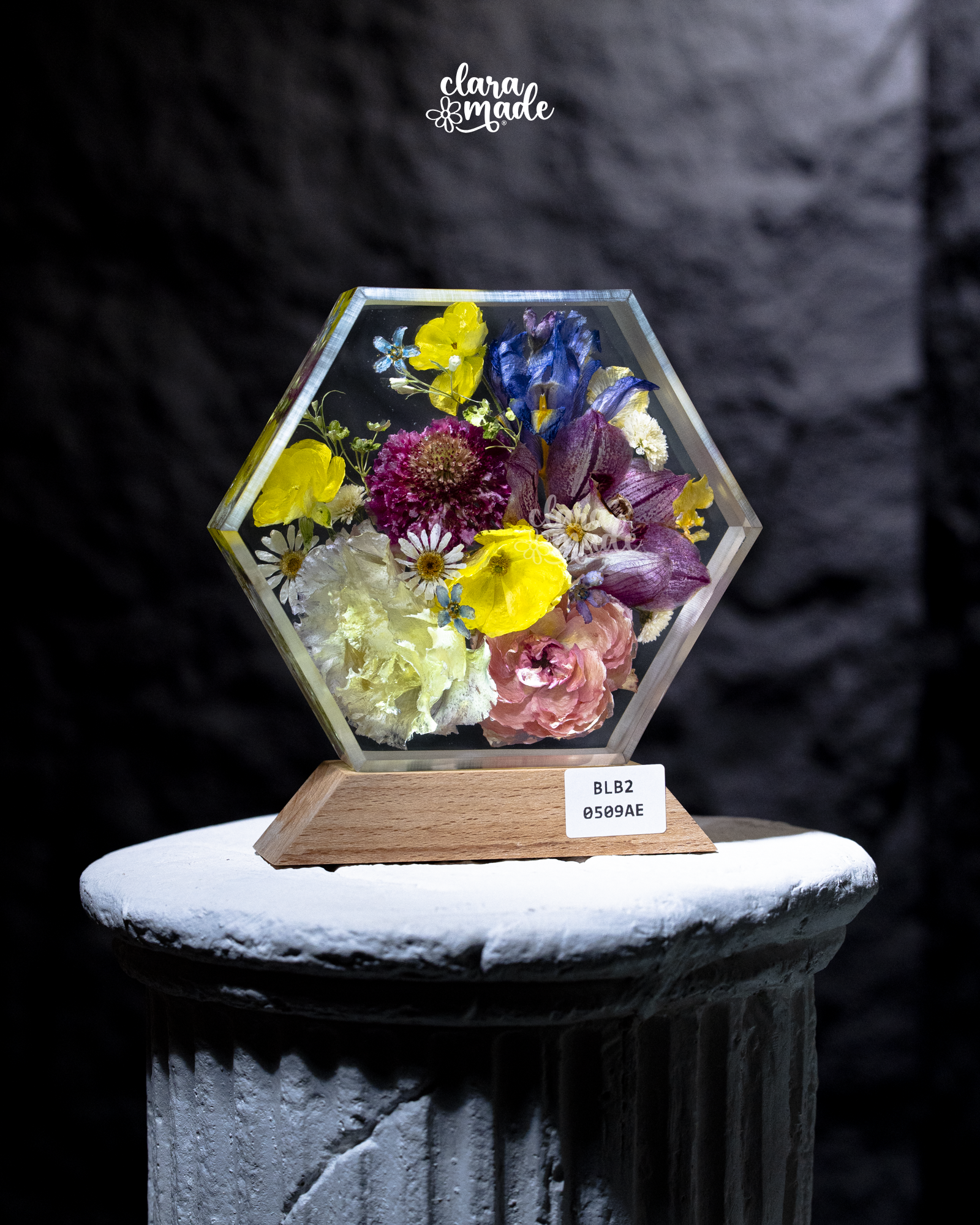 Đèn hoa khô Bloomlight Garden BLB20509AE