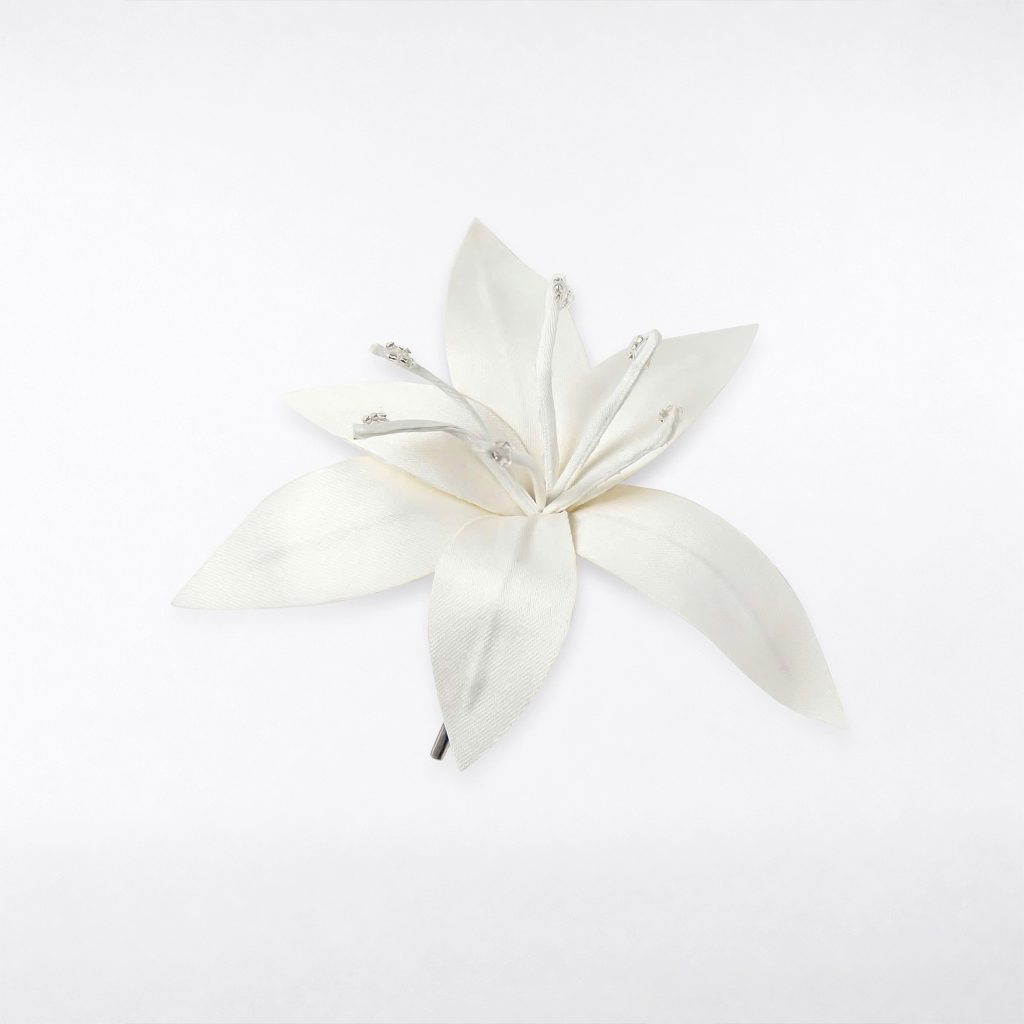 HOA CÀI LILY