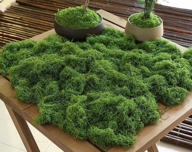 SỢI RÊU 210K/KG_thumbnail_6