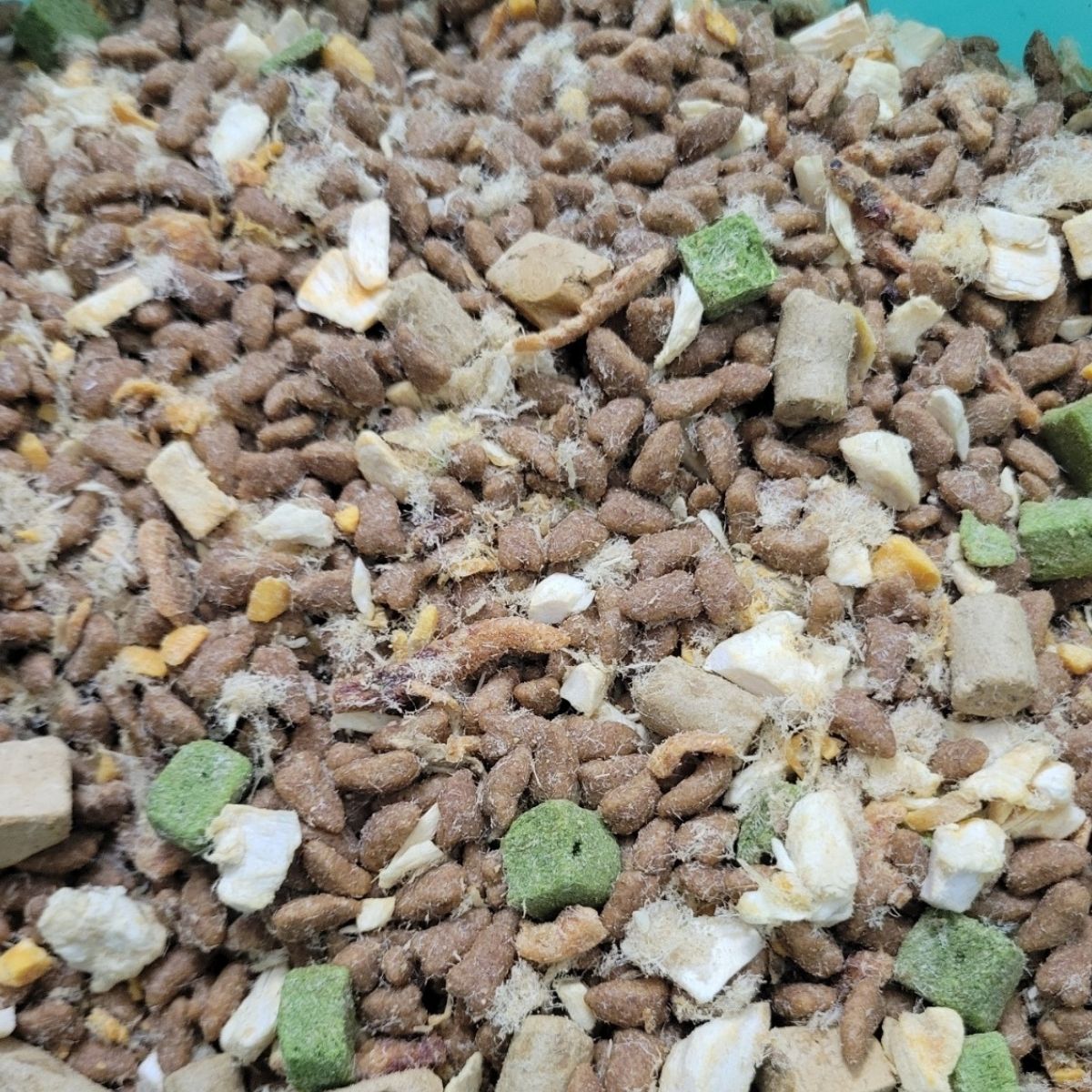 Hạt Pet's Life Trộn Topping Thịt Sấy Cho Mèo (1,5kg)_thumbnail_5