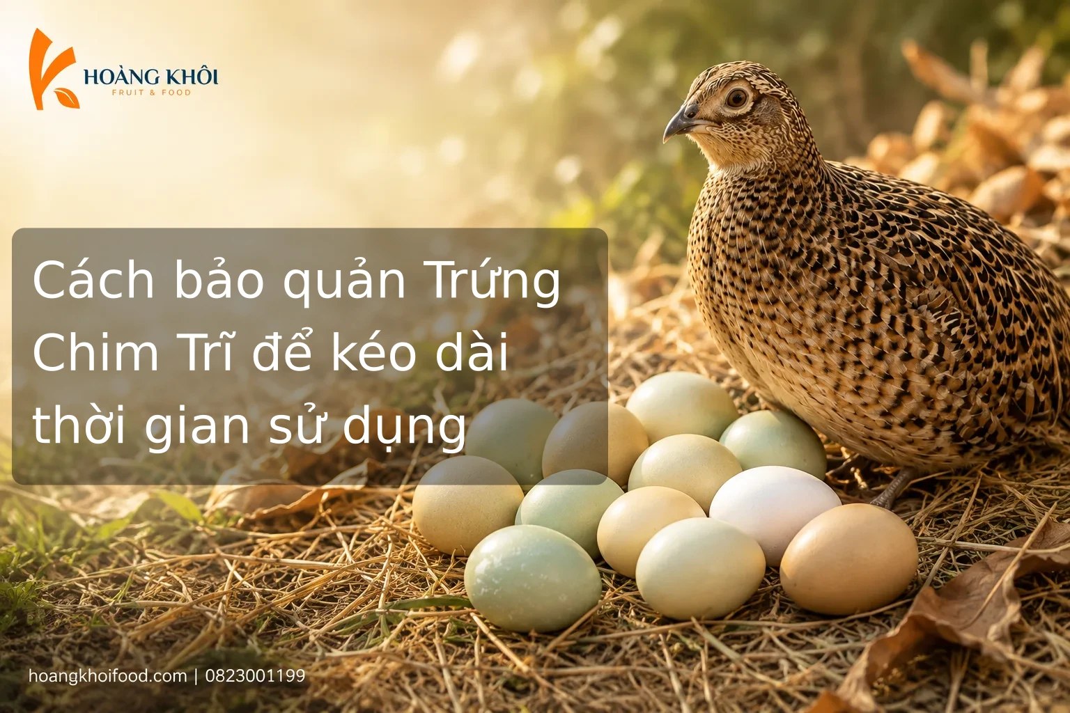 Cách bảo quản Trứng Chim Trĩ để kéo dài thời gian sử dụng