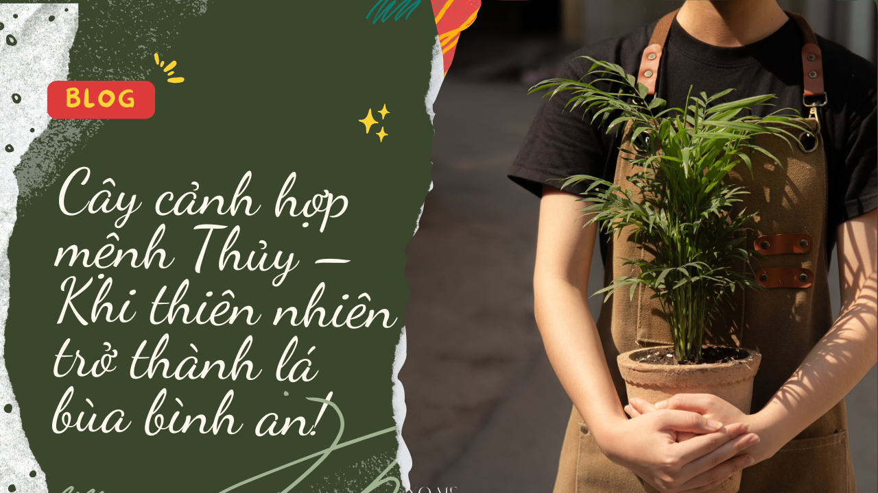 Cây cảnh hợp mệnh Thủy – Khi thiên nhiên trở thành lá bùa bình an!