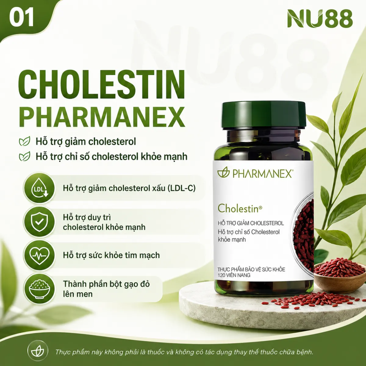 Thực phẩm bảo vệ sức khỏe Cholestin_thumbnail_2